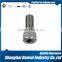 Carbon Steel C1022 Screw Hexagon Socket Thin Head Cap Screw Din7984