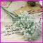 White All over the sky star simulation flower
