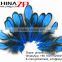 No.1 plumage supplier in China wholesale BLUE Laced Hen Loose guinea Feather
