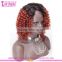 Qingdao Top Beauty Unprocessed Wholesale Virgin Malaysian Hair Afro Kinky Curly Two Tone Color Wig