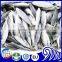 Fresh Frozen Horse Mackerel Fish whole round small eye scad