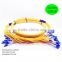 China's High quality 24cores LC-LC OS2 Breakout patch cord Low price