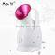 Hot selling electric portable beauty facial steamer