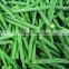 Best price of broad green beans for hot sale and best quality beans for sale