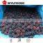 IQF price of frozen black Berry best quality