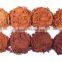 organic natural cocoa powder,fat10-12%