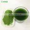AD Drying Dried Wheat Grass Powder Anti-aging Function