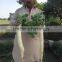 Hybrid Radish Mino Early Long White Seeds