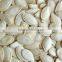 2015 crop shine skin pumpkin seeds for export