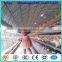 A-type and H -type cage Type and Chicken Use battery cages laying hens sell in algeria