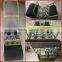 New design vegetable seed planter