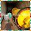 Gold mine trommel machine for placer gold wash plant