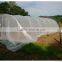 Hot Promotion White Transparent Greenhouse Cover, uv Clear 200 Miron Film