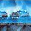 Pervaporation Membrane for Roof or Wall