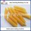 Fully Automatic pasta machine pasta macaroni making machine