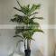 decorative Hawaii kwai artificial kwai tree fake palm tree