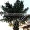 GNW APM014 Artificial Palm Tree Wedding Decorations New Products on Sale