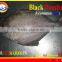 WHOLE ROUND FROZEN BLACK POMFRET