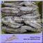 300g Raw Size Boneless Precooked Tuna