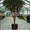 Artificial Japanese Fruticosa Tree foliage plant for decorated