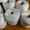 Wholesale Polyester Sewing Thread 20/3 Yarn