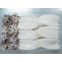Seafood supplier squid exporter frozen squid tube and tentacle squid T+t