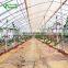 Agricultural Greenhouse& Multispan Tunnel Greenhouse for strawberry grape raspberry