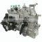 Injection Pump 10 400 874 064 10400874064 for R4105 Engine
