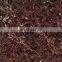 chocolate color glazed polished porcelain marble design floor tile size 600x600mm 800x800mm