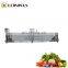 Industrial vegetable fruit washing machine vegetable  processing line fruit washer vegetable washing machine