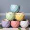 Macaron small fresh and simple stoneware desktop ceramic decoration flower pot