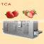 french fries quick freezing machine  shrimp iqf freezing tunnel   blast freezer for vegetable