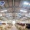 Qingdao customized design prefabricated steel structure cattle farm barn house