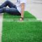 Residential yards grass for carpets