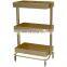 Hot sale Double Layer Beauty Stylist Trolley Rolling Cart in Salon furniture with 3 layers in sliver and golden color