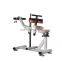 Seated Calf Machine multi functional trainer