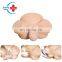 HC-S307 Medical Science Teaching Manikin advanced midwifery training model,obstetric labor and midwifery training model