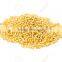 Foxtail Millet