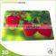 Plastic Waterproof 3d Lenticular Printing Placemats
