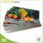 Plastic Waterproof 3d Lenticular Printing Placemats