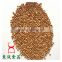 roasted buckwheat Organice grains wholesale