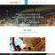 UI and UX Design