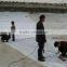 120g-450g waterproofing geomembrane/composite geotextile wholesale