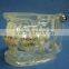 transparent orthodontic tooth model
