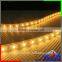 Shenzhen wholesale LED flexible strip IP65 Full Color 5050 12V Led Strip 60 lights strips light