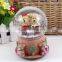 home decoration Creative gifts Teddy bear snow globe