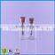 Small Glass Crafts With Hanging Drop in Glass Bottle