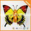 Price crash reflective removable 3d character butterfly wall sticker