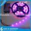 Chinese exports addressable led strip products imported from china