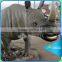 Customized animatronic handmade animal model